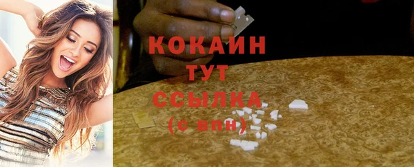 PSILOCYBIN Лабытнанги