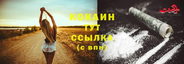 PSILOCYBIN Лабытнанги