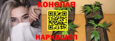 spice Апшеронск