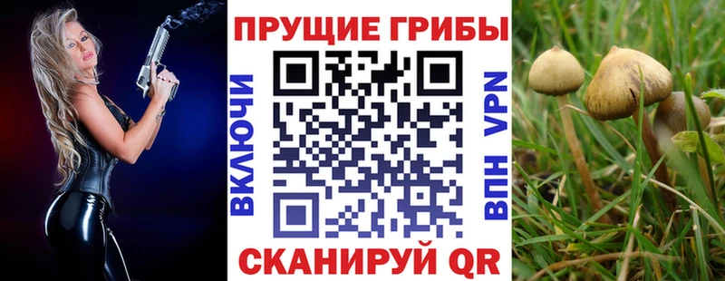 купить  цена  Мелеуз  Псилоцибиновые грибы Psilocybe 