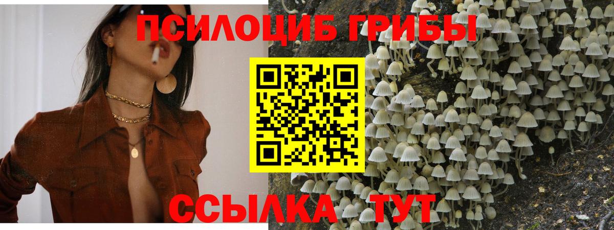 КОКАИН  ГАШ  Alpha-PVP СОЛЬ кристаллы  Экстази  Лсд 25  Вход с VPN  МЕФ   МДМА  Мелеуз  Конопля 
