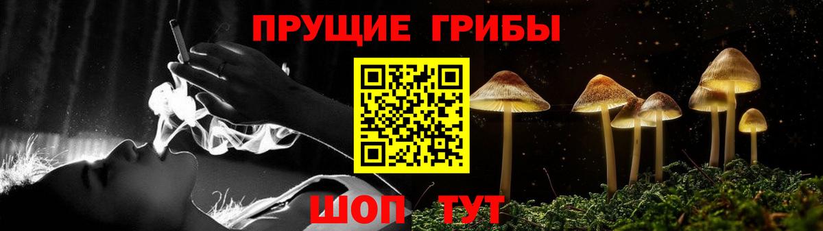 Псилоцибиновые грибы Psilocybine cubensis Мелеуз